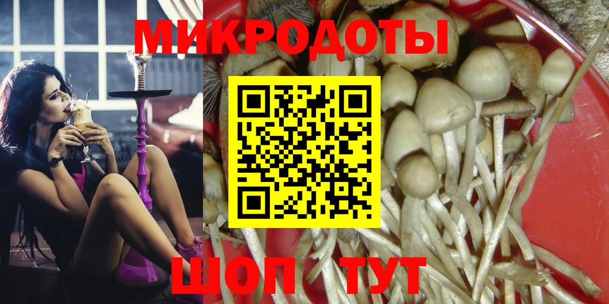 Галлюциногенные грибы MAGIC MUSHROOMS  Вход с VPN  купить  сайты  Псилоцибиновые грибы MAGIC MUSHROOMS  Ртищево 