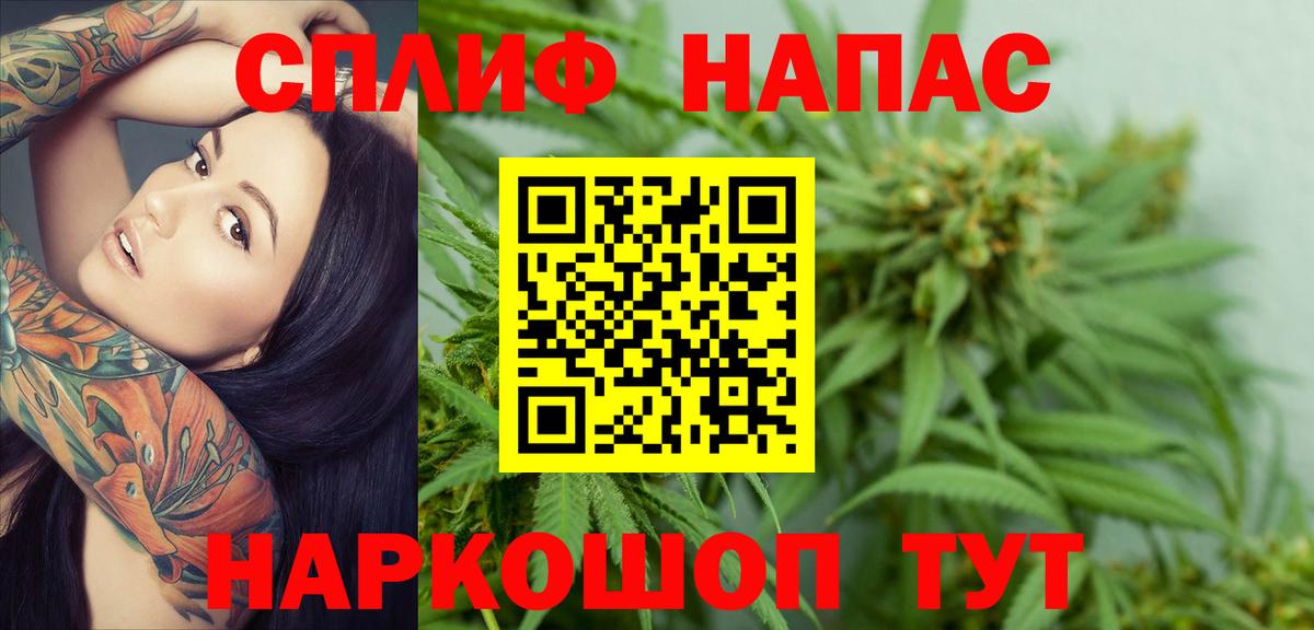 Бошки марихуана конопля Ртищево